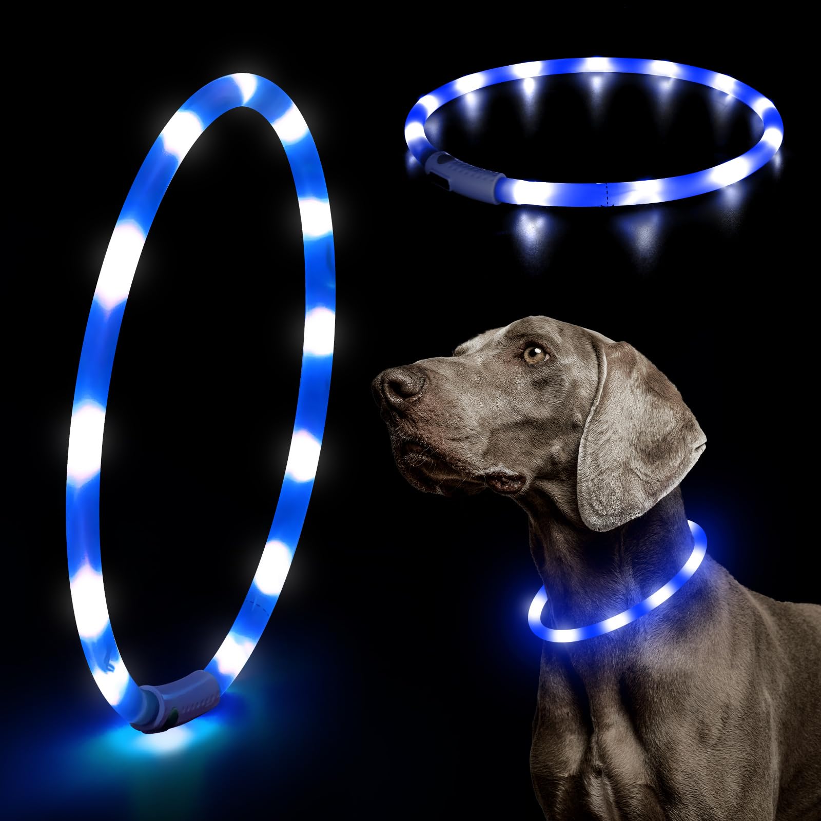HIGO Light Up Dog Collar, Lightweight LED Dog Collar for Dogs Cats, USB Rechargeable LED Dog Necklace Light Makes Your Beloved Dogs Glow in The Dark (Blue-Silicone)