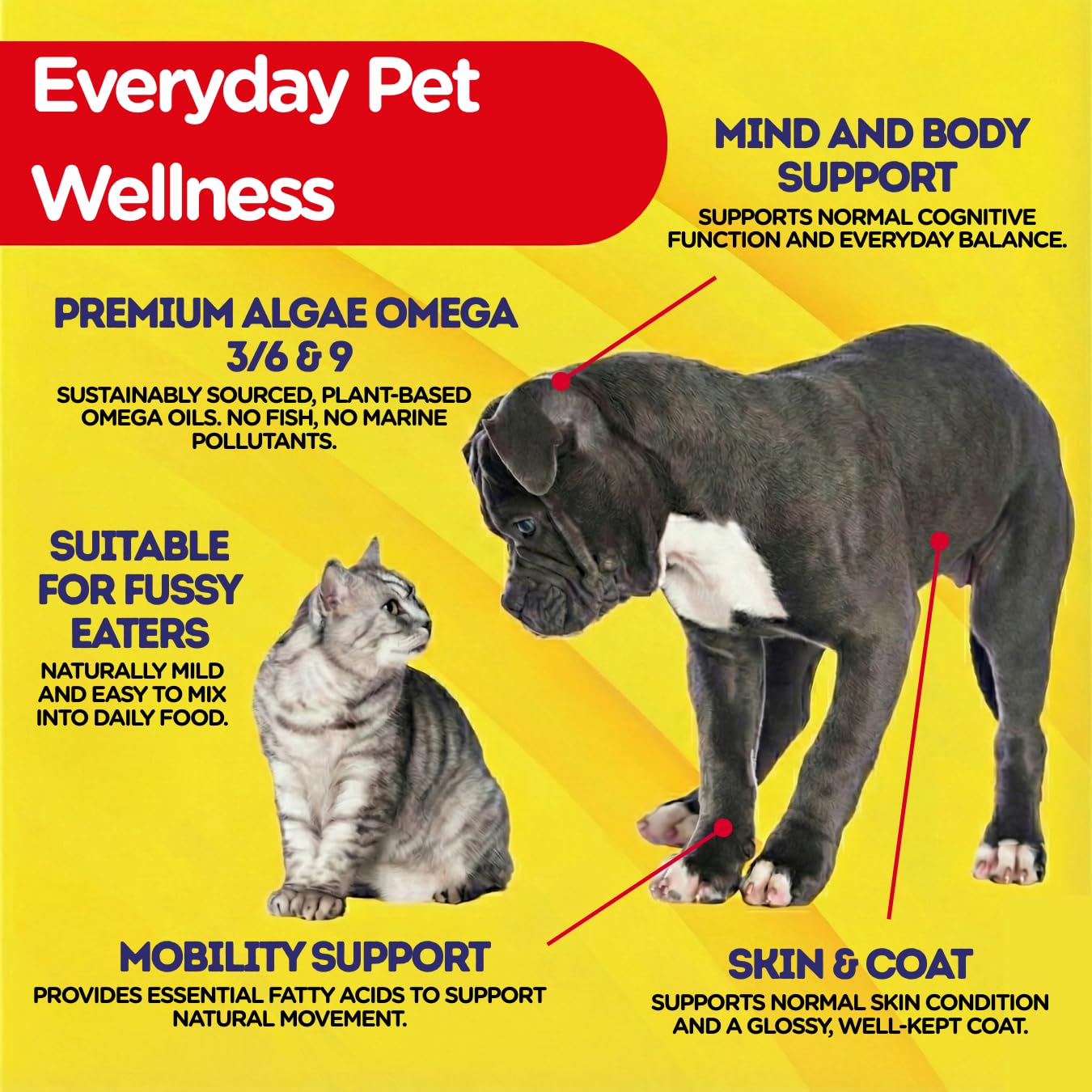PetJesty Huile pure oméga 3 pour chiens et chats 750 ml – Soutien de la peau et du pelage oméga 3 – Complément alimentaire liquide pour animaux de compagnie – Animal végétalien + DHA pour fonction
