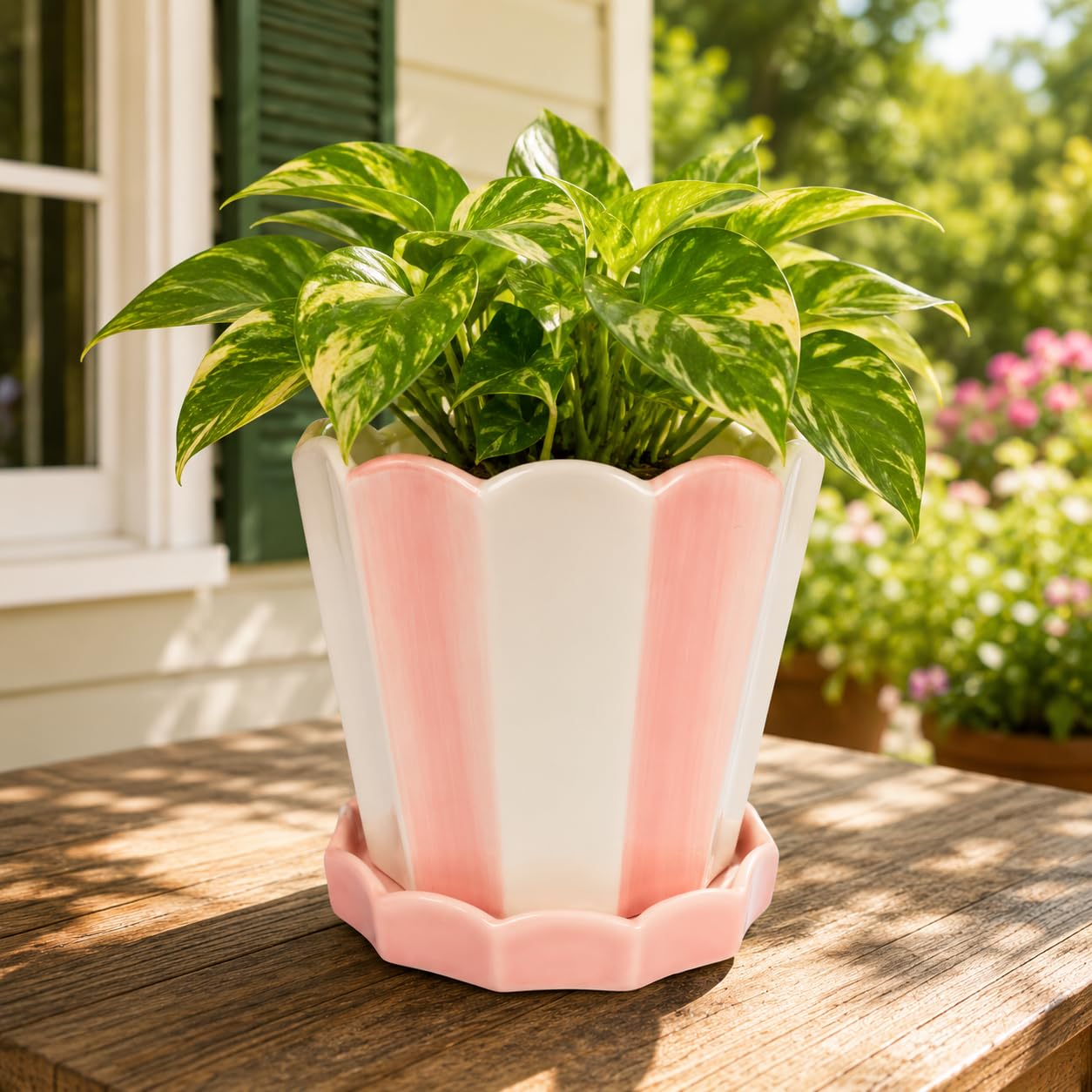 Stripe Planter on Plate – Premium Ceramic Plant Pot, Modern Decorative Flower Pot for Indoor Outdoor Use, Durable Drainage Design, Ideal for Succulents, Herbs & Home Office Decor A123 (Pink) — image 1