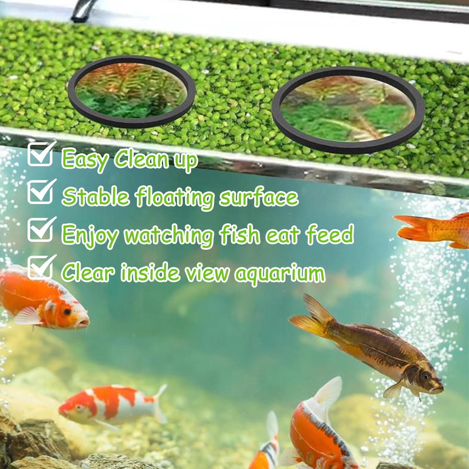 VPB 10 Pièces Anneau d'Alimentation Flottant Rond pour Poissons d'Aquarium, Plantes Flottantes, Coraux et Tortues - 5 Tailles