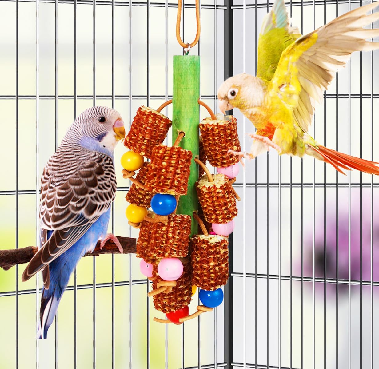 Hyamass Natural Corn Cob Bird Chew Toys for Parrots - Safe Durable Chewing Toy for Cockatiels, Conures, Lovebirds, Macaws, African Grey & Cockatoos | Hanging Aviary Enrichment for Small/Medium Birds