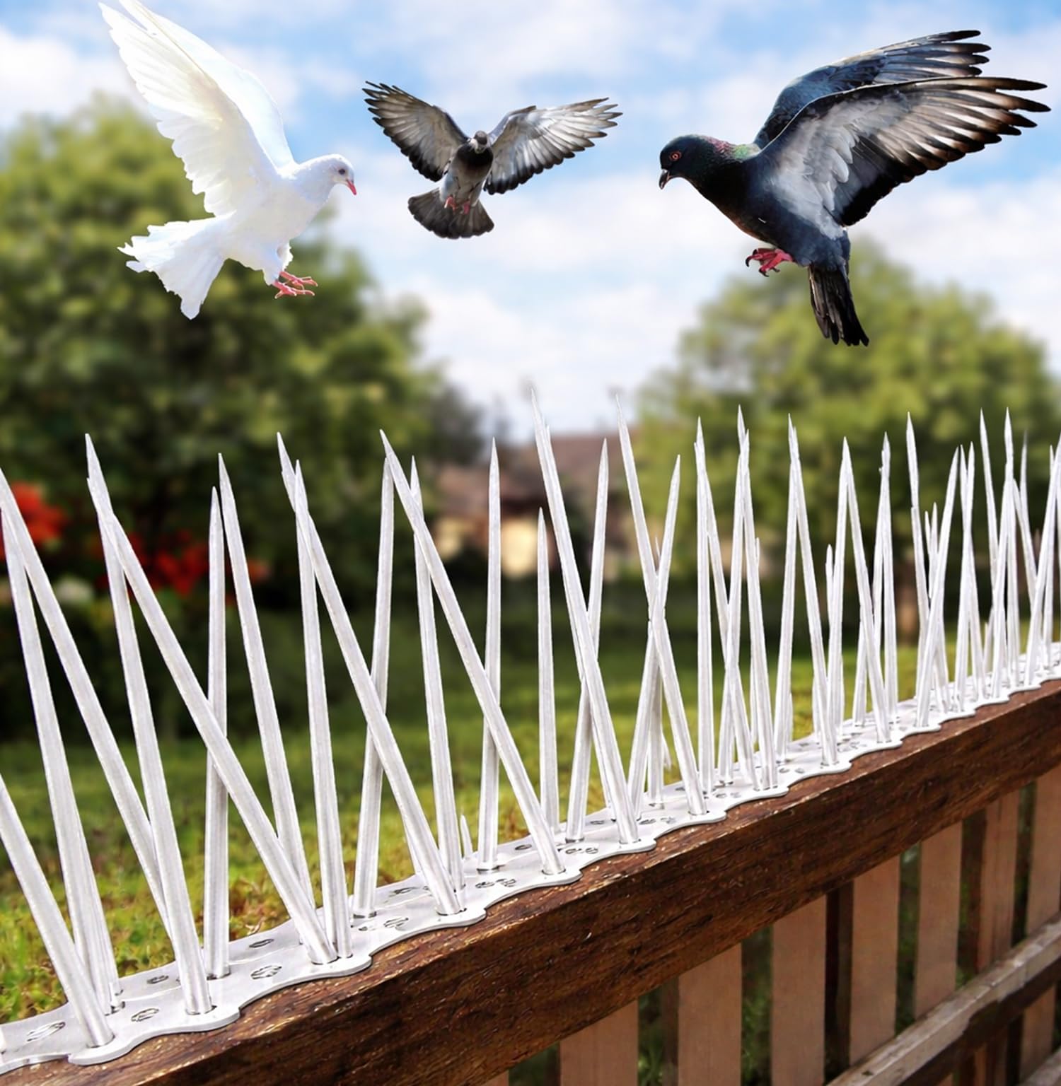 XONOV Bird and Pigeon Spikes, Pigeon Control Spikes Anti Bird Plastic Spikes for AC Balcony Railing Window Home Protection from Pigeon Dog Monkey Crow Kabootar Transparent (Pack of 10 (13 Inch))-image-44