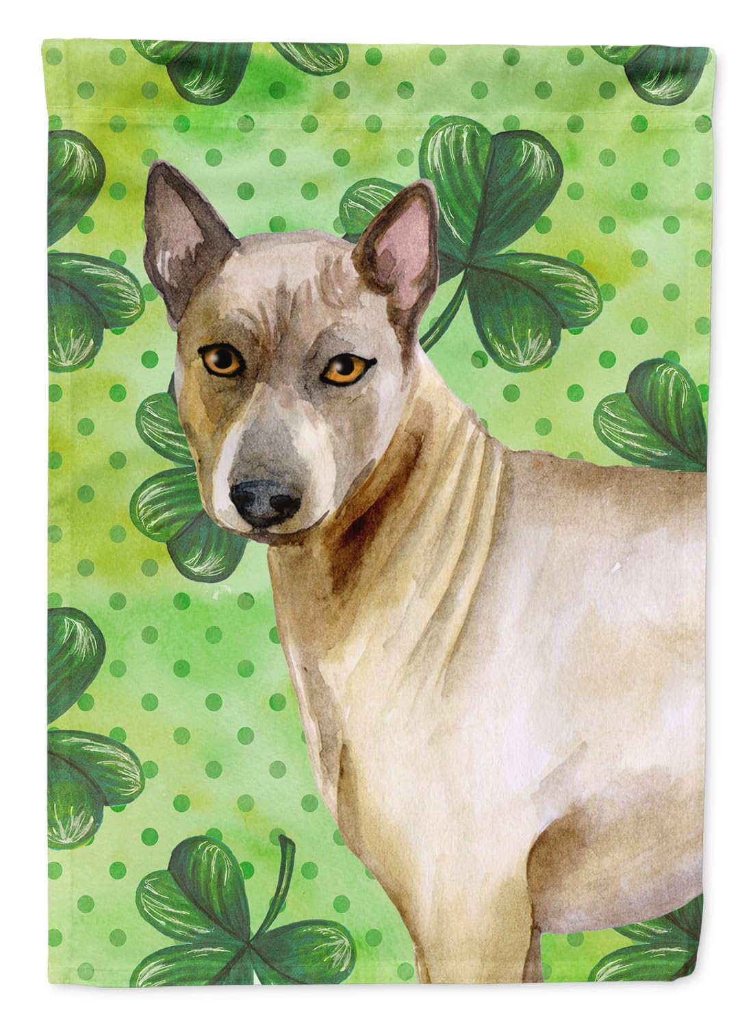 Drapeau Thaï Ridgeback multicolore pour décorer votre jardin au printemps