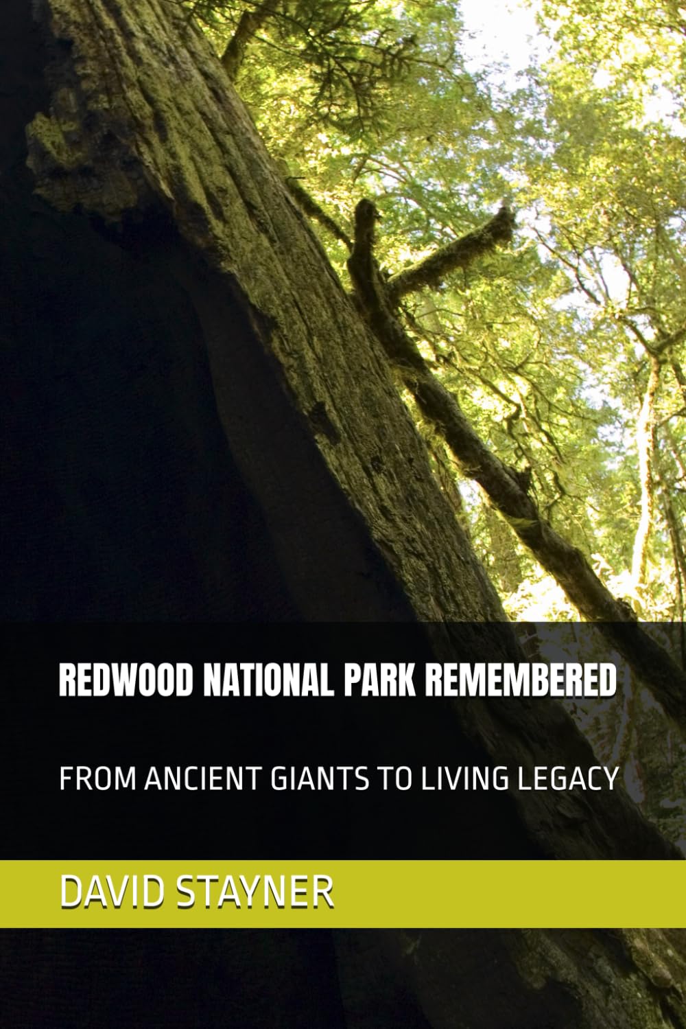 REDWOOD NATIONAL PARK REMEMBERED: FROM ANCIENT GIANTS TO LIVING LEGACY