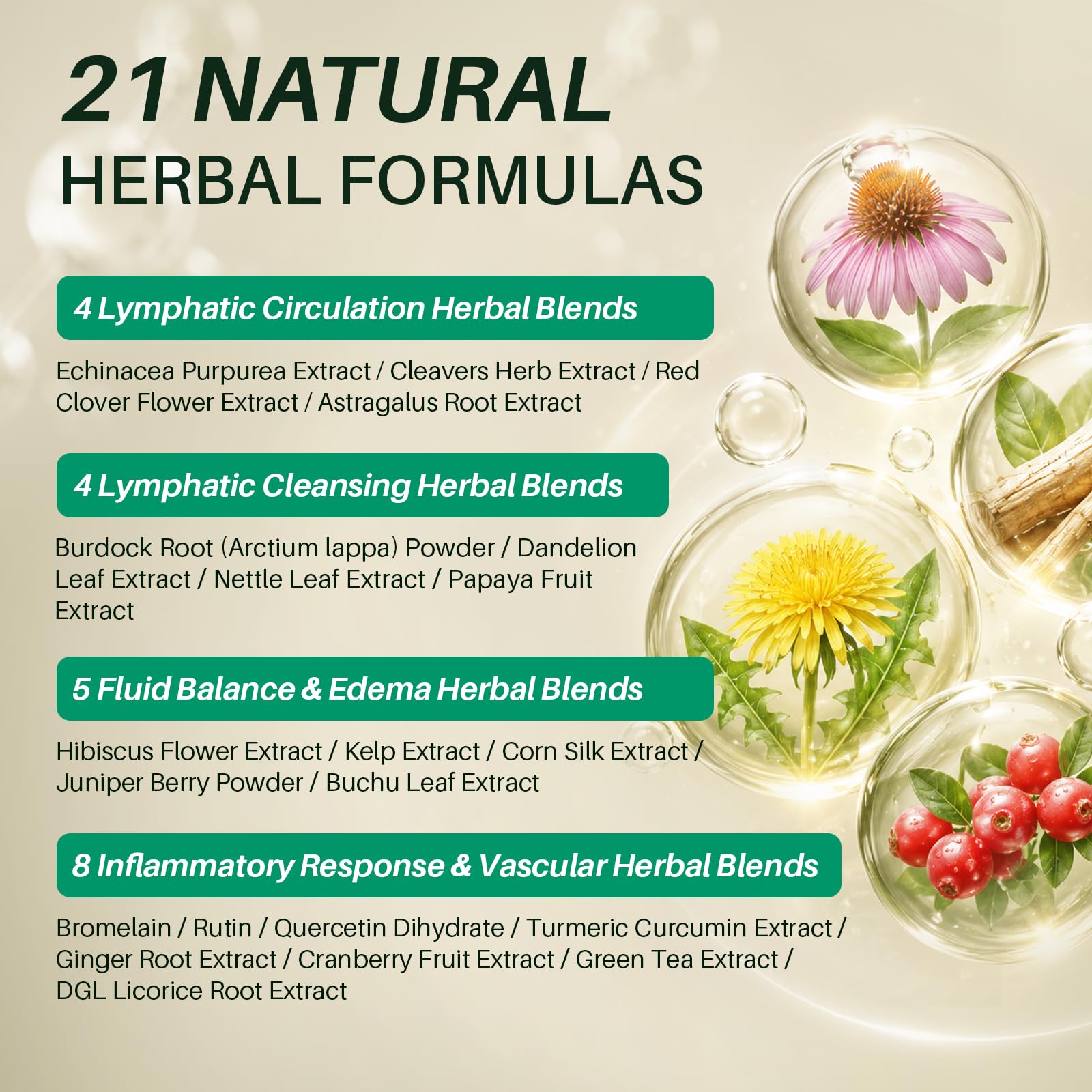 21-in-1 Lymphatic Drainage Supplements – Lymphatic Drainage Support for Immune Health & Fluid Balance, Natural Herbal Blend with Echinacea, Burdock, Bromelain & More, 120 Capsules — Amazon image 3