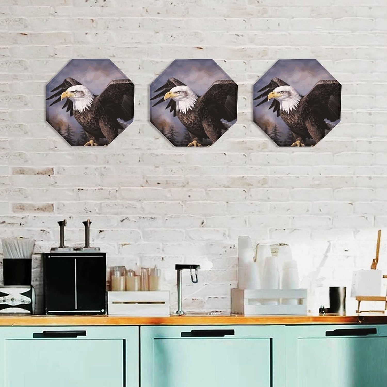 Ctagon Metal Sign for Home, Modern Display Plate for Kitchen, Bald Eagle Plates Accent Hanging Wall Decorations 3PCS for Living Room, Bedroom, Hallway, Hotel