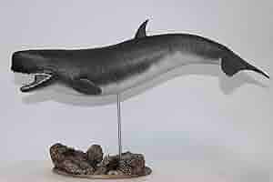 Rheic 1/35 リヴィアタン メルビレイ クジラ類 フィギュア 模型 置物 Amazon.co.jp: 1/35 サイズ リヴィアタン・メルビレイ クジラ類
