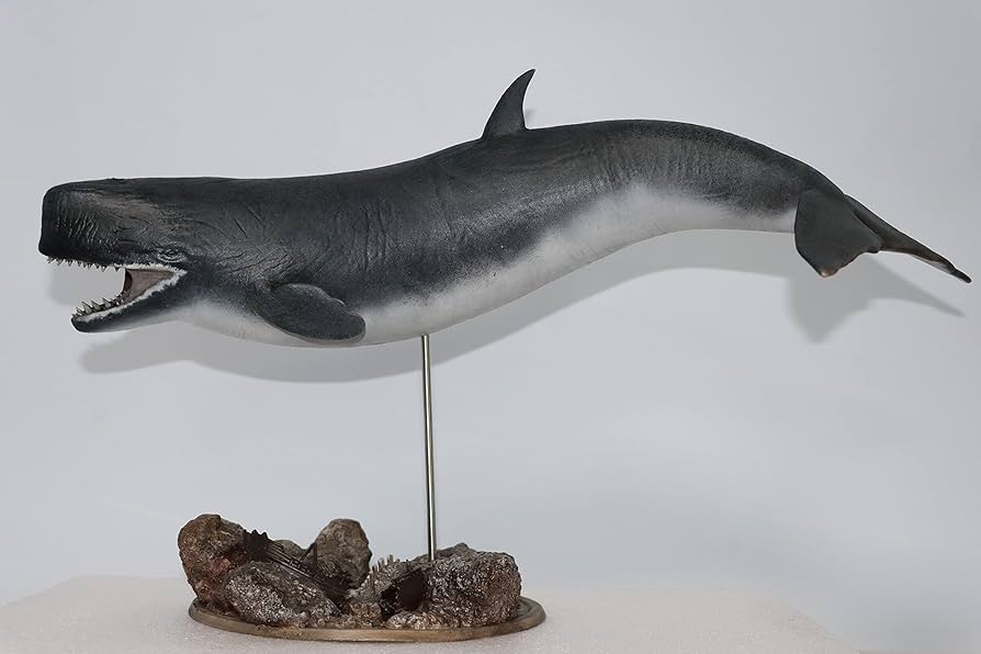 Rheic 1/35 リヴィアタン メルビレイ クジラ類 フィギュア 模型 置物 Amazon | Lana Toys Rheic Studio 1/35 リヴィアタン