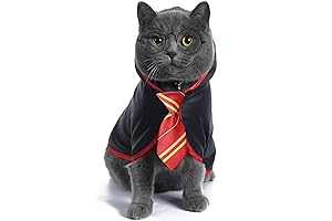 Adorable Harry Potter Costume for Canine Companions