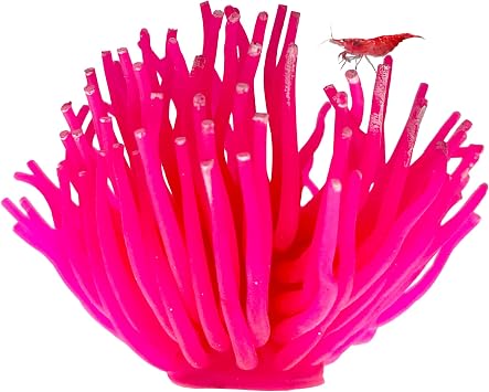 CTWPets Fluorescent Aquarium Decor   Glowing Fish Tank Ornament for Freshwater & Saltwater | Safe for Betta, Shrimp, Tropical Fish | Includes Collector Card Pink, Large