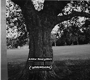 A New Place 2 Drown (Instrumentals)