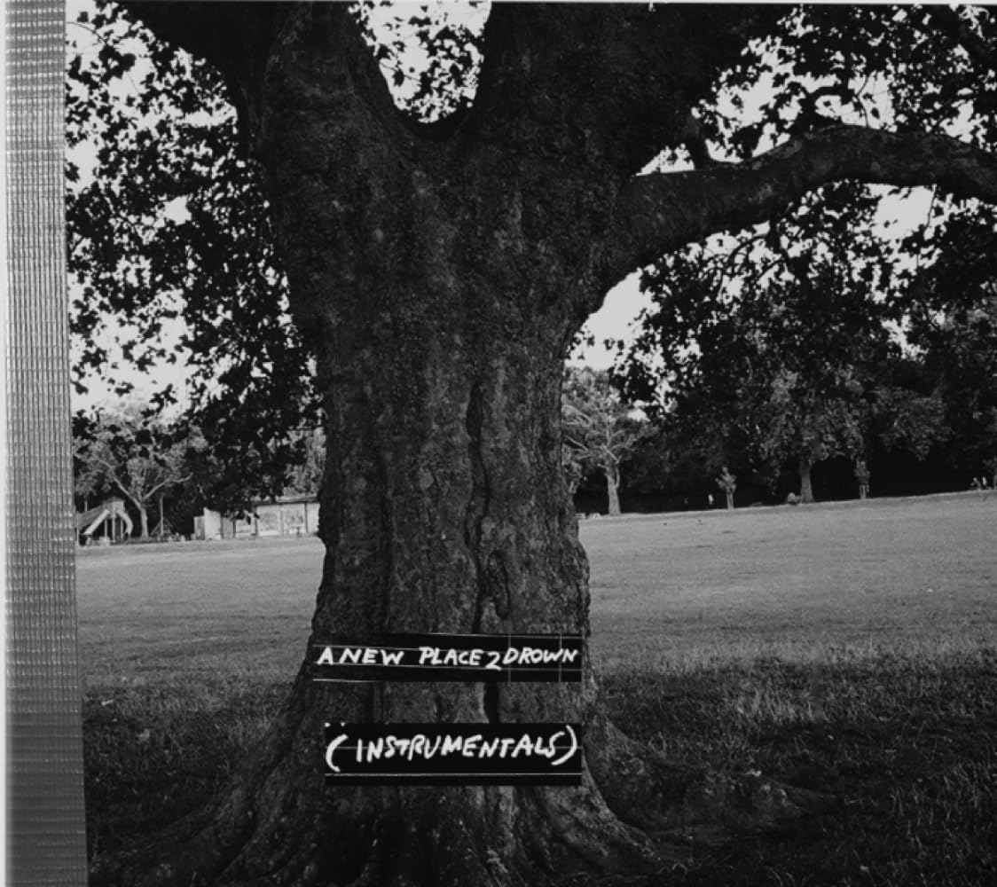 A New Place 2 Drown (Instrumentals) [VINYL]