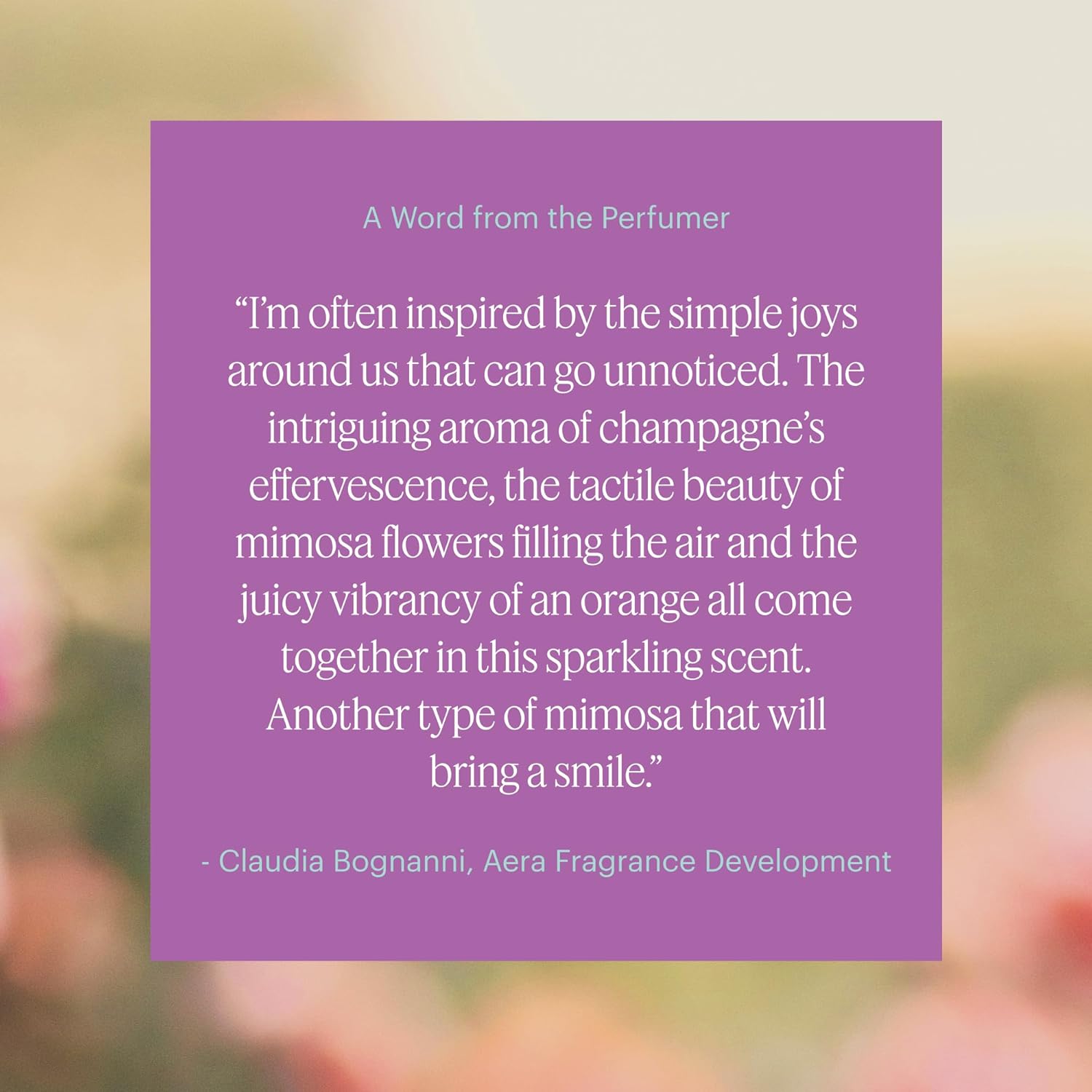 Aera Mini Destinations Paris - Essential Oil for Home – Sweet and Floral Fragrance - Notes of Champagne and Macarons - Scent Refill - Capsule Size Works with Mini Diffuser