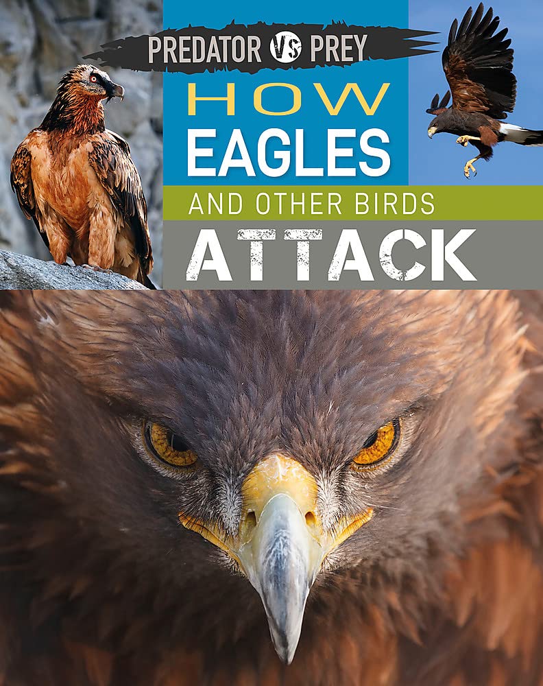 Predator vs Prey: How Eagles and other Birds Attack!