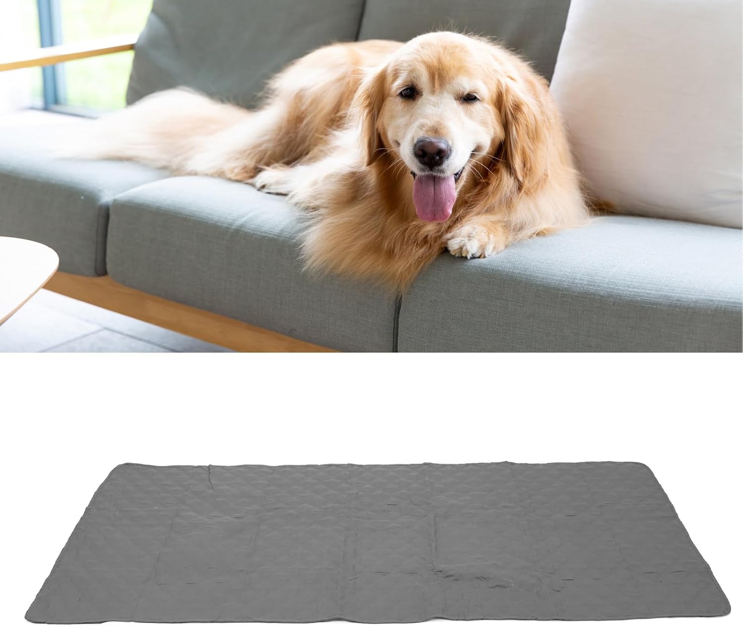 Dog Bed Blankets with Anti Slip Bottom, Pet Bed Cover for Furniture Sofa Couch, Bite Dog Blanket with TPU Film, Soft Luxury Pet Mat for Dogs and Cat (52x82inch)