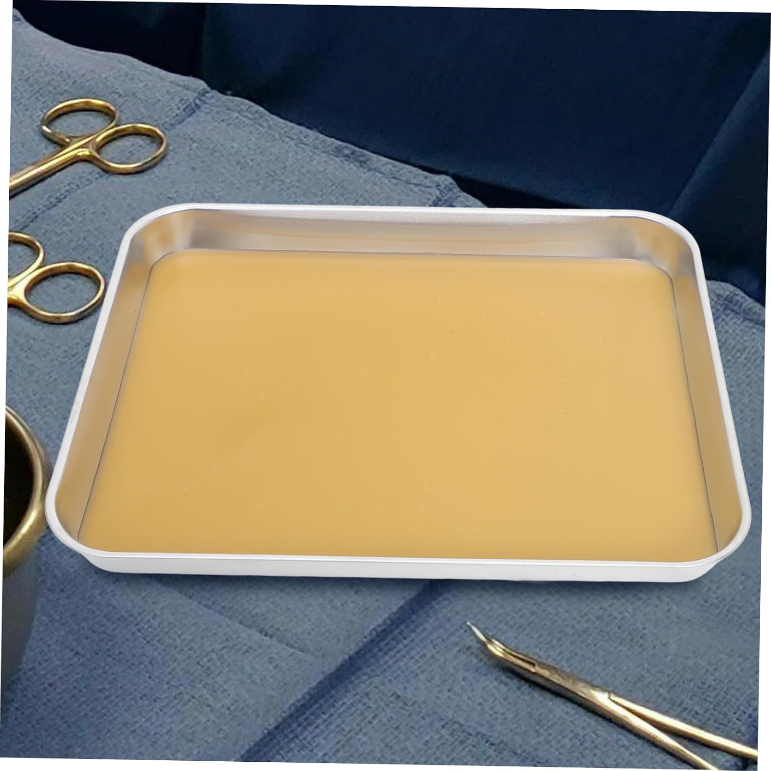 CHILDWEET Stainless Steel Dissection Kit for Biology Labs Trays for Middle High School Experiments