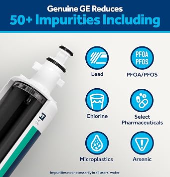 GE RPWFE Refrigerator Water Filter, Genuine Replacement Filter, Certified to Reduce Lead, Sulfur, and 50+ Other Impurities, Replace Every 6 Months for Best Results, Pack of 1