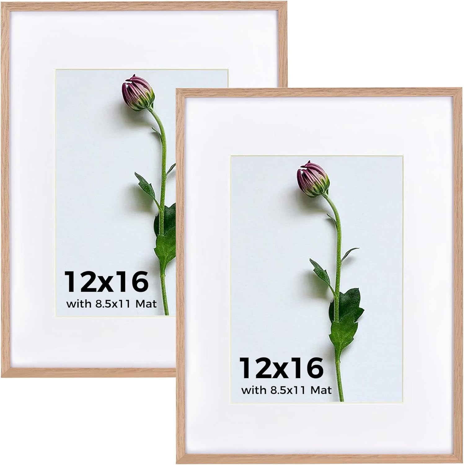 12x16 Frame Set of 2, Solid Oak Wood 12 x 16 Picture Frames with Plexiglass Display Poster 8.5x11 with mat or 12x16 without matte Wall Hanging Collage frame Wall Decor