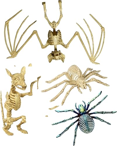 Charmed By Dragons Decoración de esqueleto espeluznante de Halloween, decoración del hogar y el jardín (juego de 4 piezas de rata murciélago y 2