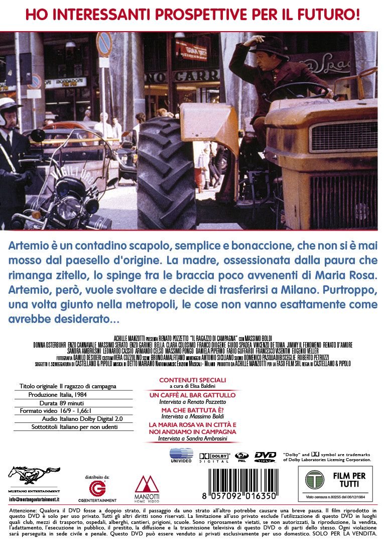 Il ragazzo di campagna