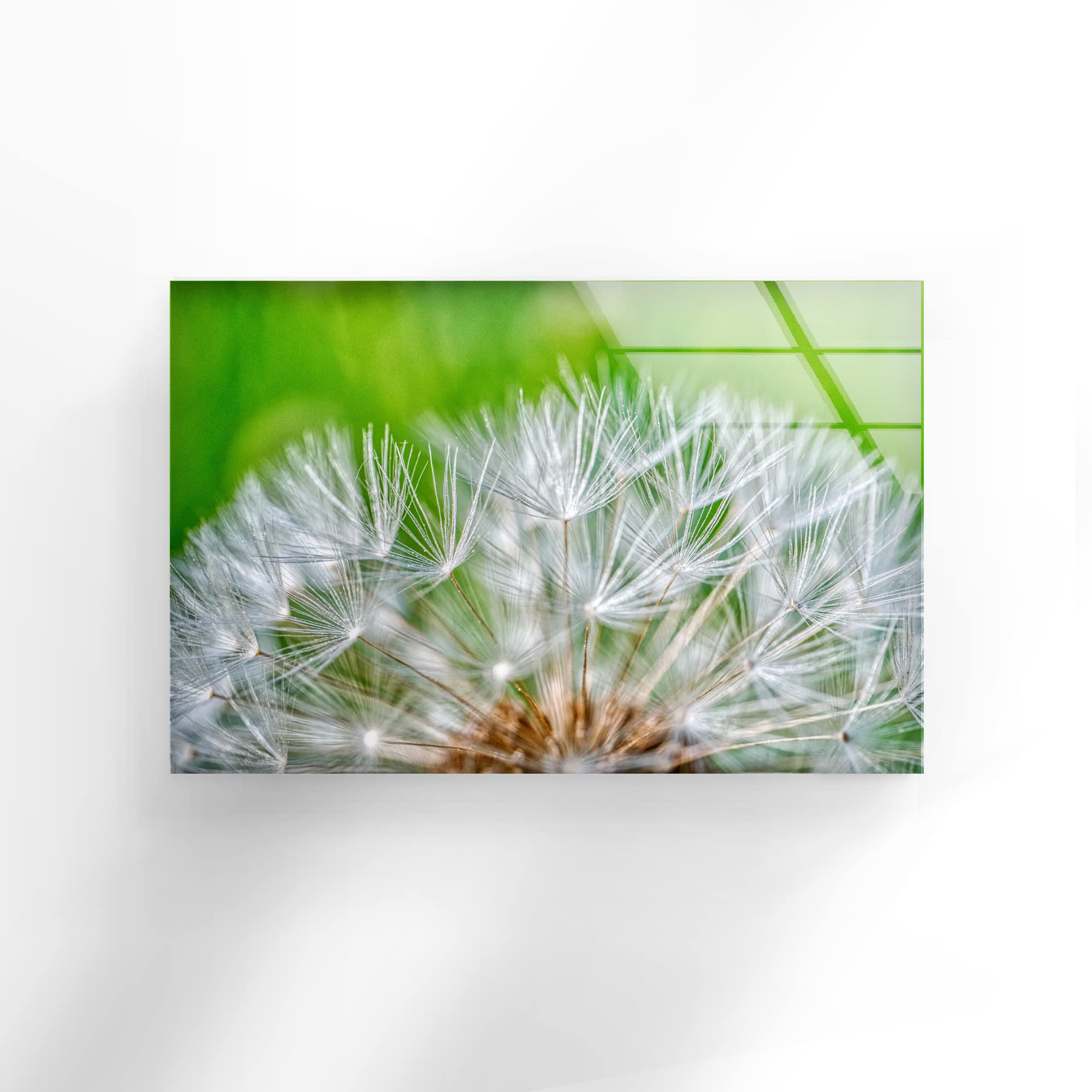 Bedroom Decor Myphotostation Dandelion Flowers Tempered Glass Wall Art ...