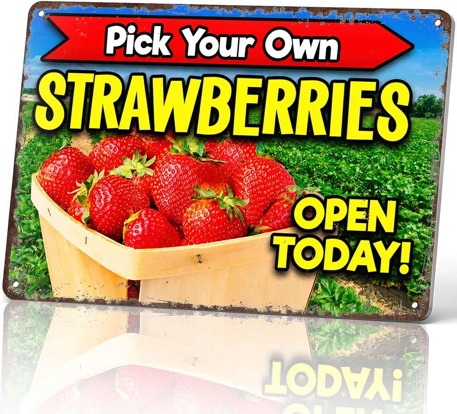 Pick Your Own Strawberries Open Today Metal Sign 8 x 12 Inch