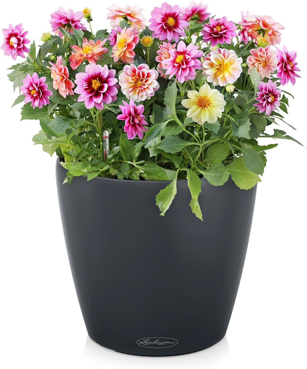 Lechuza 15680 Balconera Color 80 Self-Watering Planter for Indoor and Outdoor Use view 2