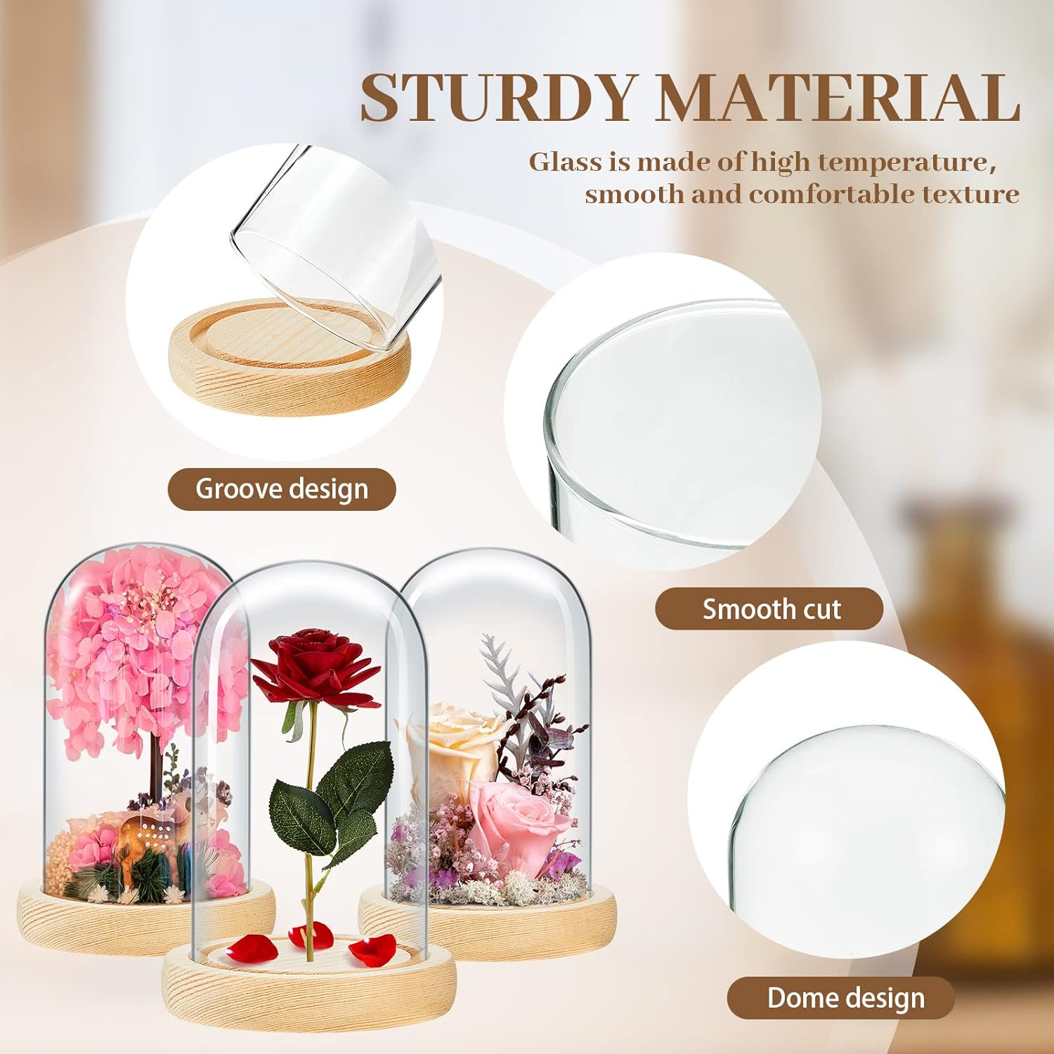 3 Pieces 8 x 4.7in Glass Cloche Display Dome, Decorative Glass Bell Jar with Solid Wood Base, Clear Cloche Dome Display Case for Home Decor, Craft, Plants, Light