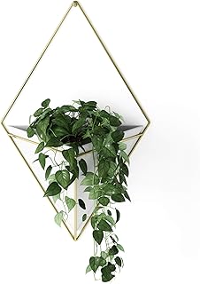 Suchergebnis auf Amazon.de für: wandhalterung pflanzen