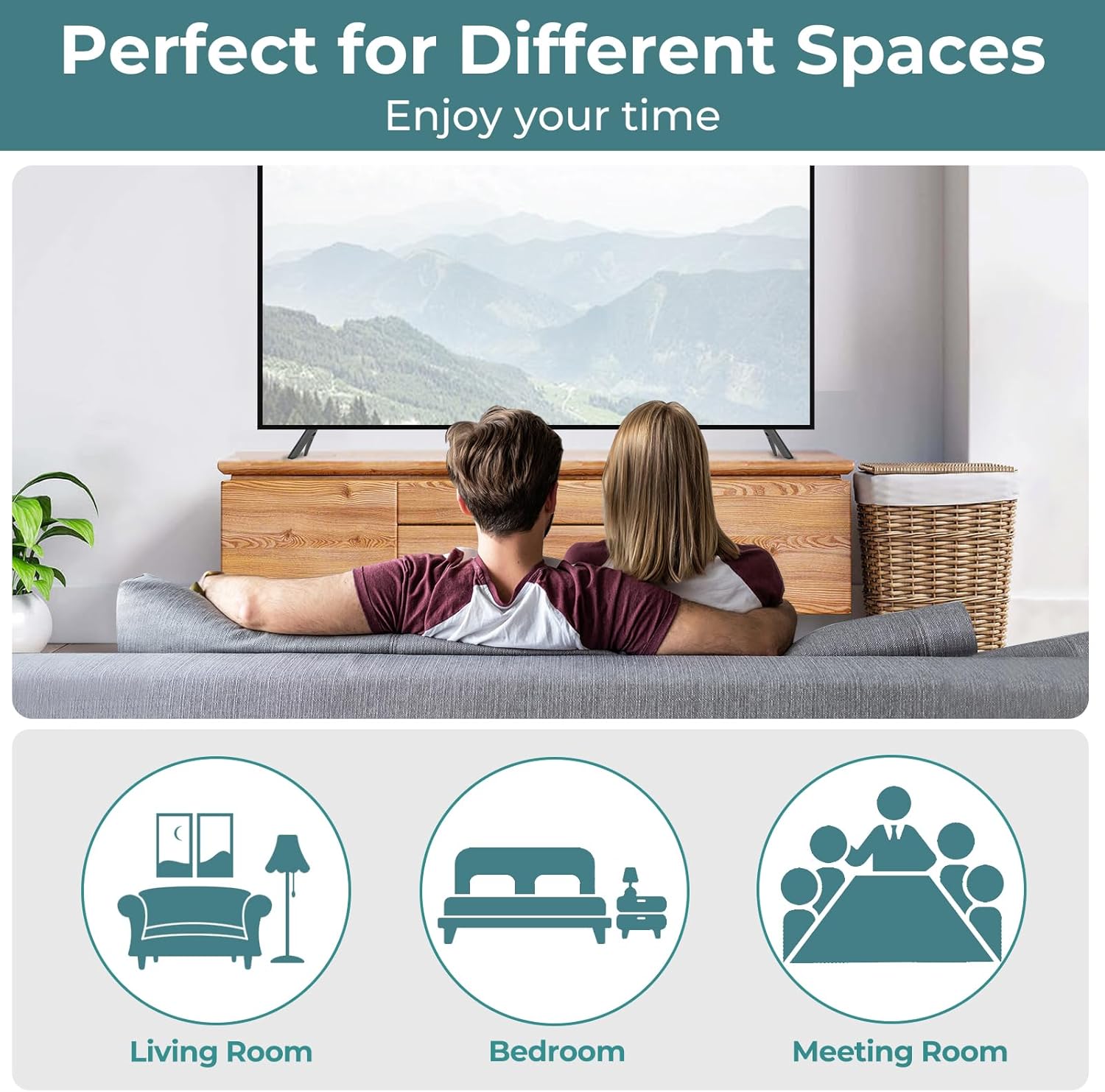 TV Stand Only for Vizio TV Stand Legs D43FX-F4, Not for Other TV Model, Replacement Legs for Vizio TV wr Screws & Instructions, No Drilling Required