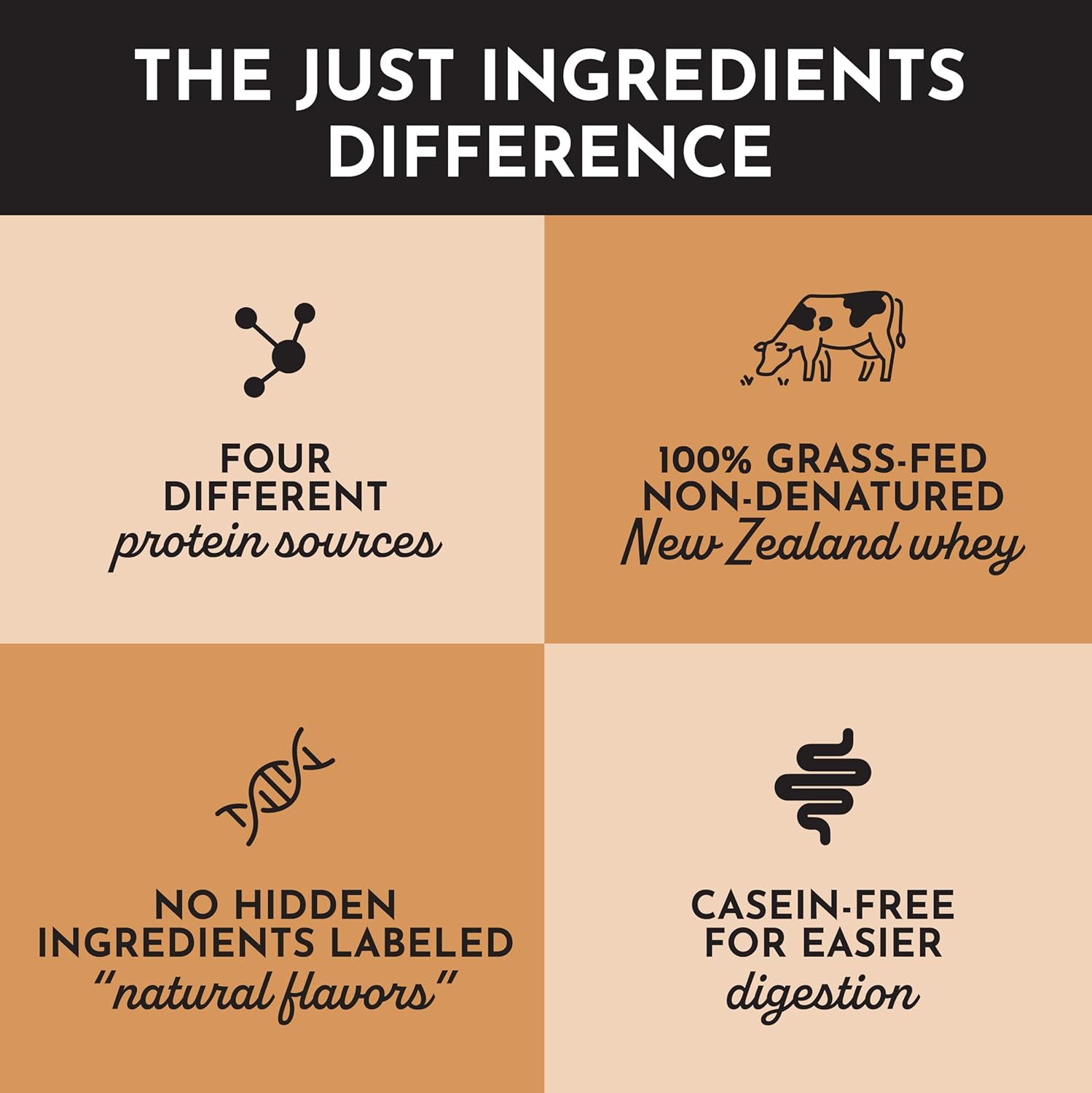 Salted Caramel Protein Powder – 30-Serving Blend with 100% Grass-Fed Whey & Organic Plant Proteins – Flavored with Real Ingredients – Supports Muscle Recovery & Energy - Image 9