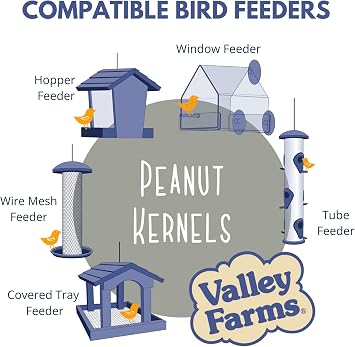 Valley Farms Whole Peanut Kernels (4 LB) Wild Bird Food for Outside Feeders, Peanuts for Birds, Chickadee Bird Seed for Outside Feeders, No Mess Bird Seed