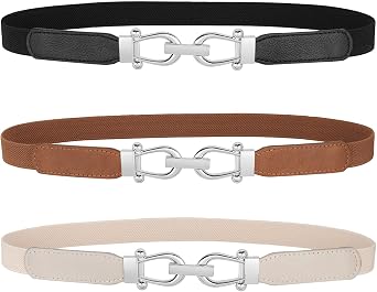 JASGOOD Women Skinny Elastic Belt for Dresses,Thin Retro Stretch Waist Belt with Golden Buckle