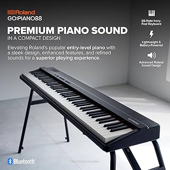 Amazon.com: Roland GO:PIANO88PX | Entry-Level Portable 88-Note