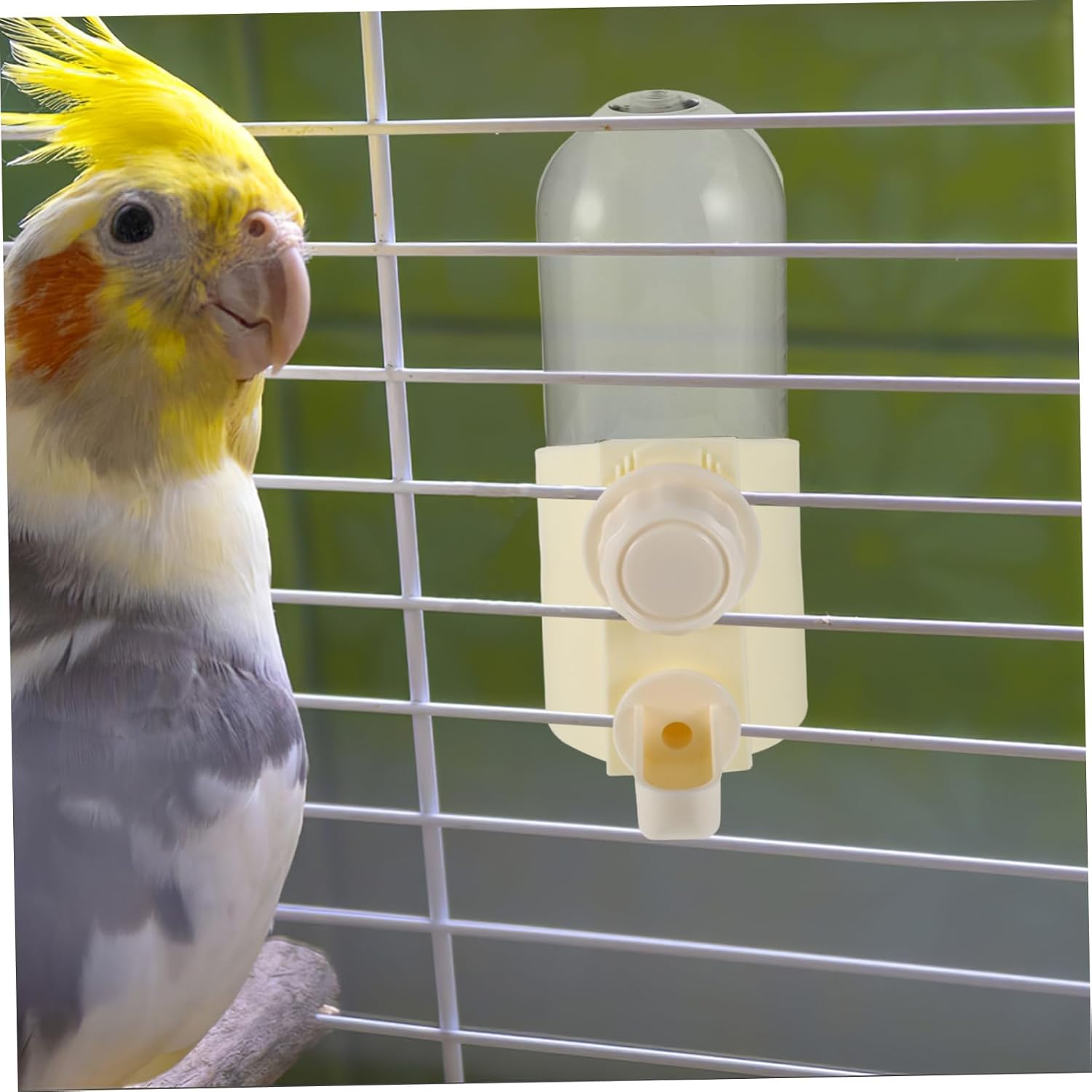 Abaodam Bird Water Bowl and Quail Dispenser Easy Refilling Pigeon Waterer for Small Pets Durable Cage Accessories for Chickens Parrots and Birds