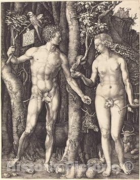 Art Print Albrecht Durer, Adam and Eve, 1504, Historic Wall Decor 08in x 10in