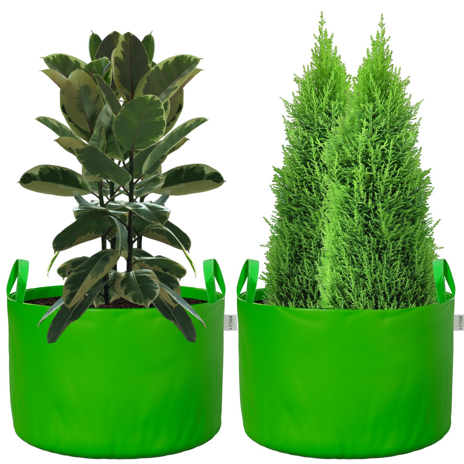 Oriley Grow Bags - Durable Plant Containers -12 Oriley Grow Bags - Durable Plant Containers -12
