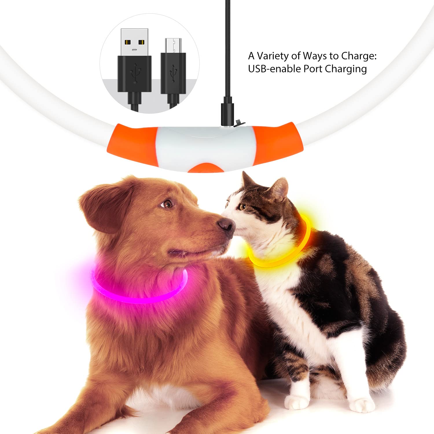 Collar de perro HiGuard LED recargable por USB, collar de seguridad iluminado que brilla en la oscuridad para ti y tus perros