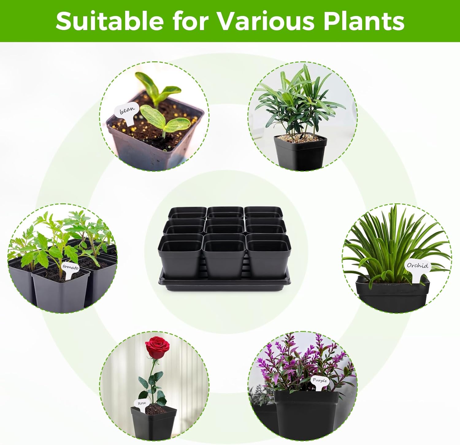 Seed Starter Tray Kit 3.5" Square Nursery Pots Trays 50 Pcs 9 Cell Seed Starting Pots with Drainage Holes 5 Seed Starting Trays 20 Plant Labels, Planting Tools and 1 Pen Planter Nursery Propagation - Image 6