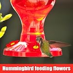 20pcs Cummingbird Feeder Remplacement Fleurs avec 2 Brosse de nettoyage, alimentation colibri Pièces de rechange nourrisseur d'oiseaux Fleurs de remplacement Ports d'alimentation pour l'extérieur