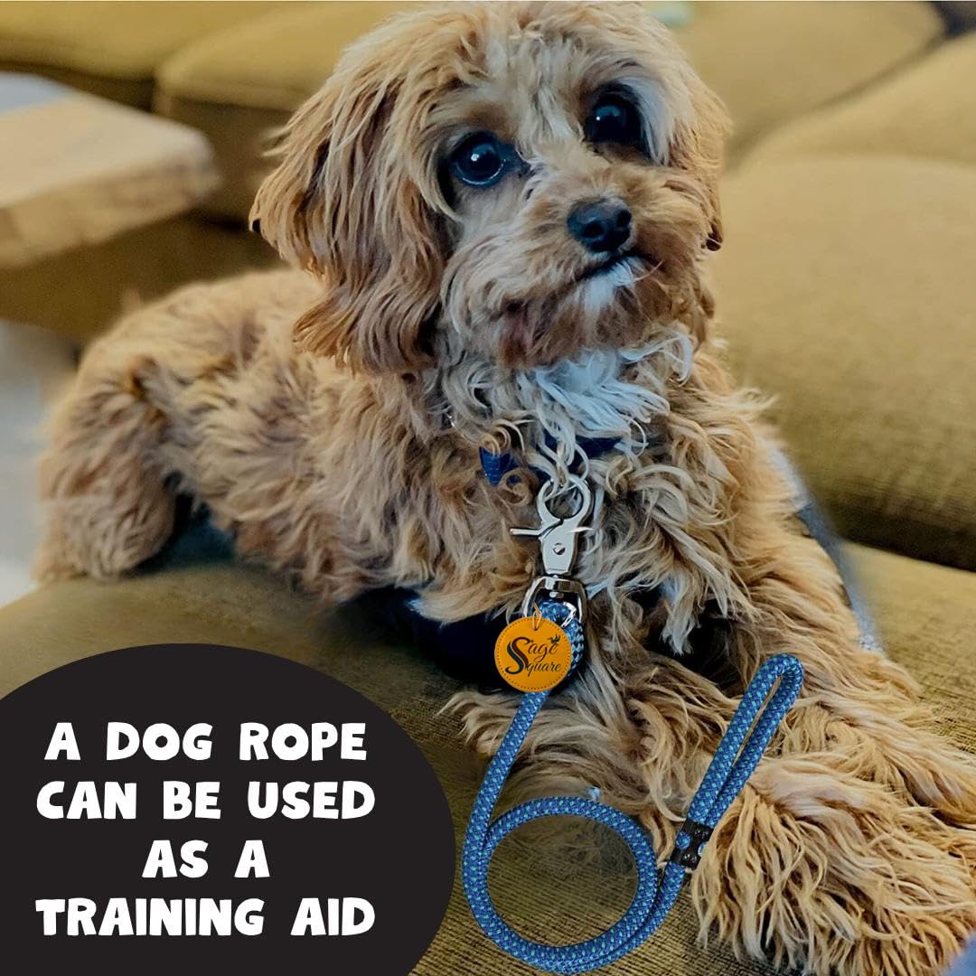 Sage Square Dog Training Rope & Leash with Strong Hook 15mm – Reflective Stitching, Durable & Versatile – Ideal for Medium & Large Dogs – Multi Size & Multi Colored (Random 15mm Large Dog) 1