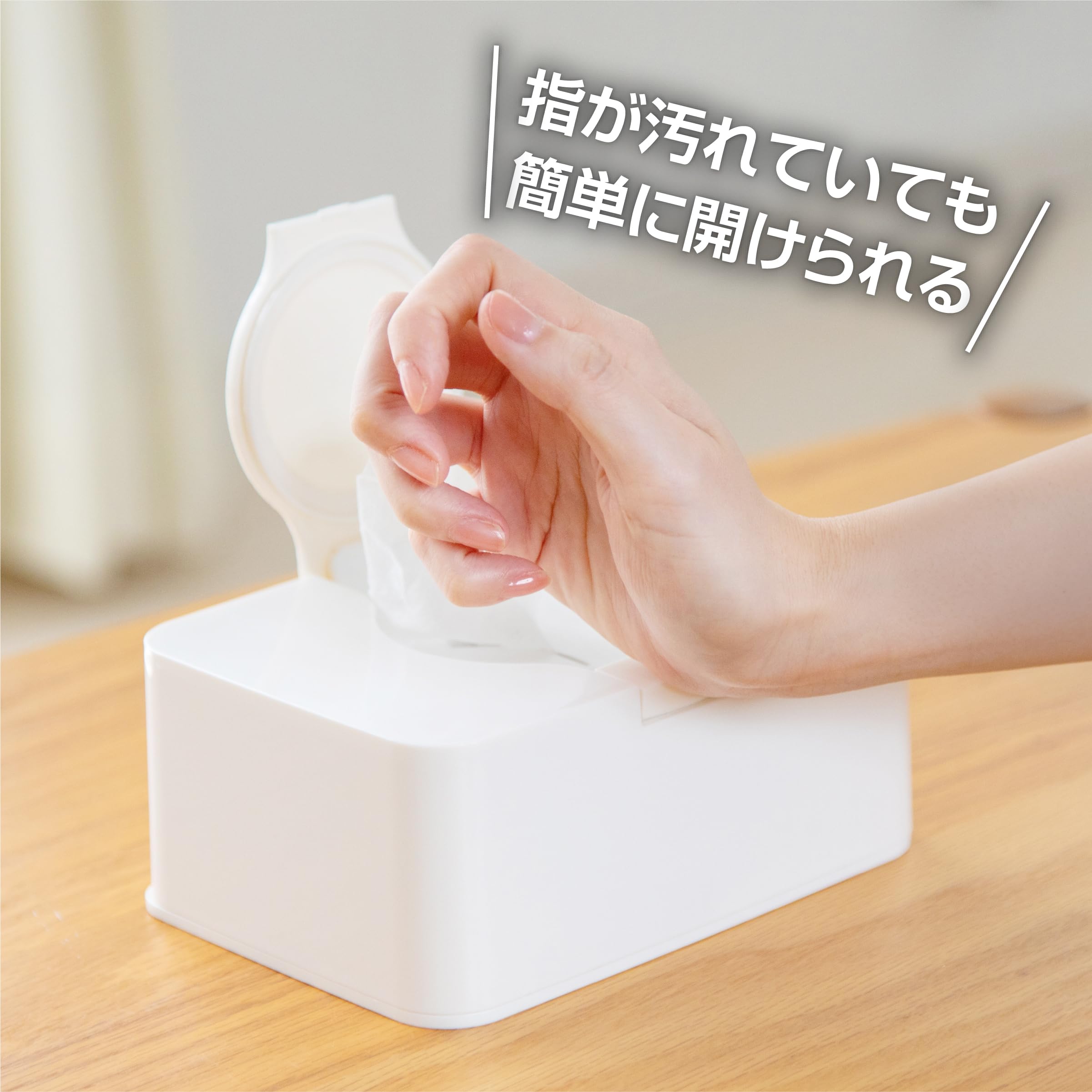 Amazon｜タケヤ公式 ウェットティッシュケース 2個セット FRESHLOK