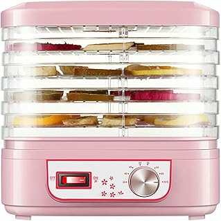 Deshidratador de alimentos doméstico pequeño, deshidratador profesional de frutas, 250 W con temporizador y control de temperatura, bandeja de 5 capas de gran capacidad, fácil de limpiar, secador de