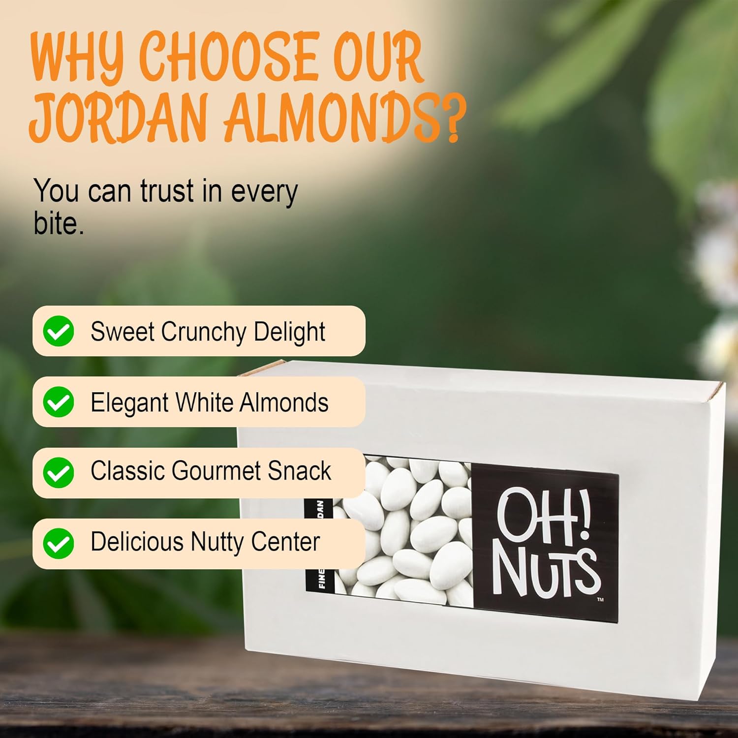Oh! Nuts White Jordan Almonds for Easter, Weddings, Baby Showers, Birthday - 5 Lbs Bulk Bag