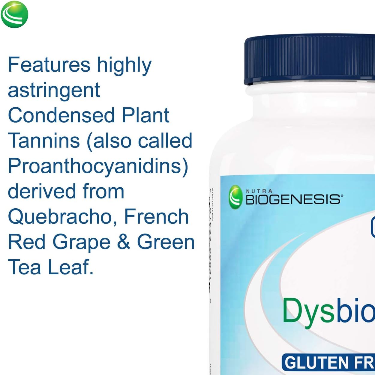 Nutra BioGenesis DysbioX - Green Tea Pills, Antioxidant Support Supplement for Women & Men with Vitamin C, Zinc, Green Tea & Grape Extract - 60 Vegan Capsules