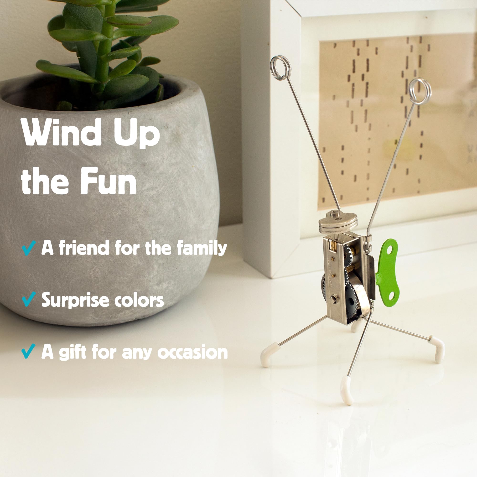 Amazon.com: Kikkerland Windup Cranky – Cute Wind Up Pet for Office