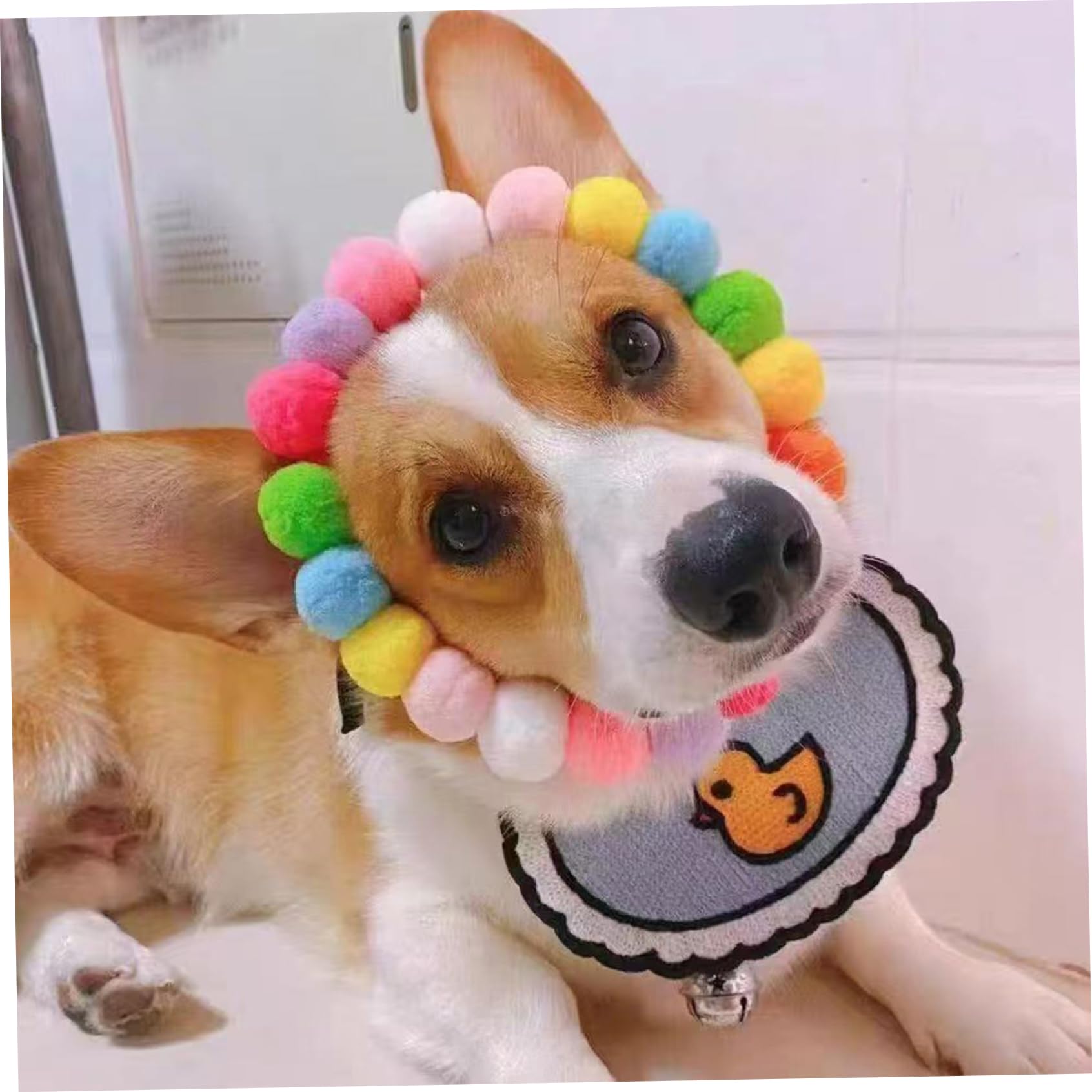 50 Collares de Perro con Cuentas, Collar de Gato elástico Ajustable con pompón Suave para Perros pequeños, Cachorros, Collar de Moda para Mascotas para Fotos y Uso Diario, Gato elástico, Perro con CU