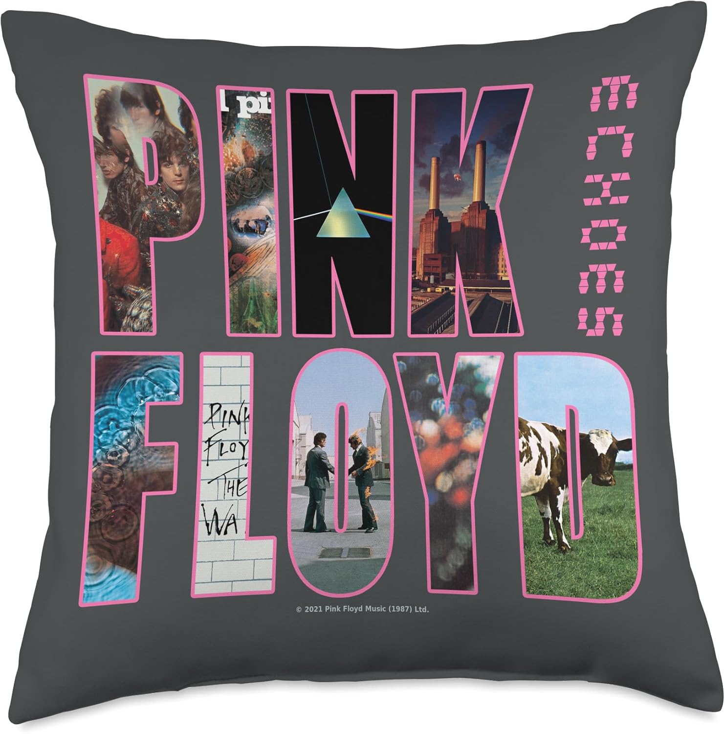 PINK FLOYD COVER Throw Pillow
