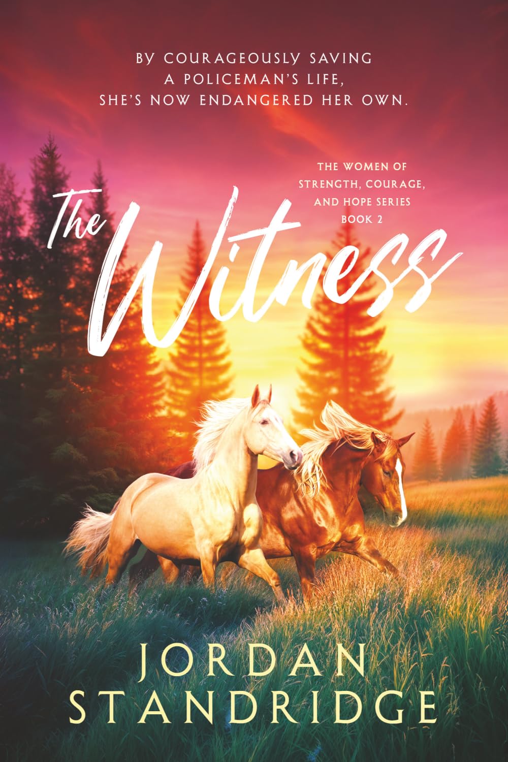 The Witness: Book 2: The Women of Strength, Courage, and Hope Series