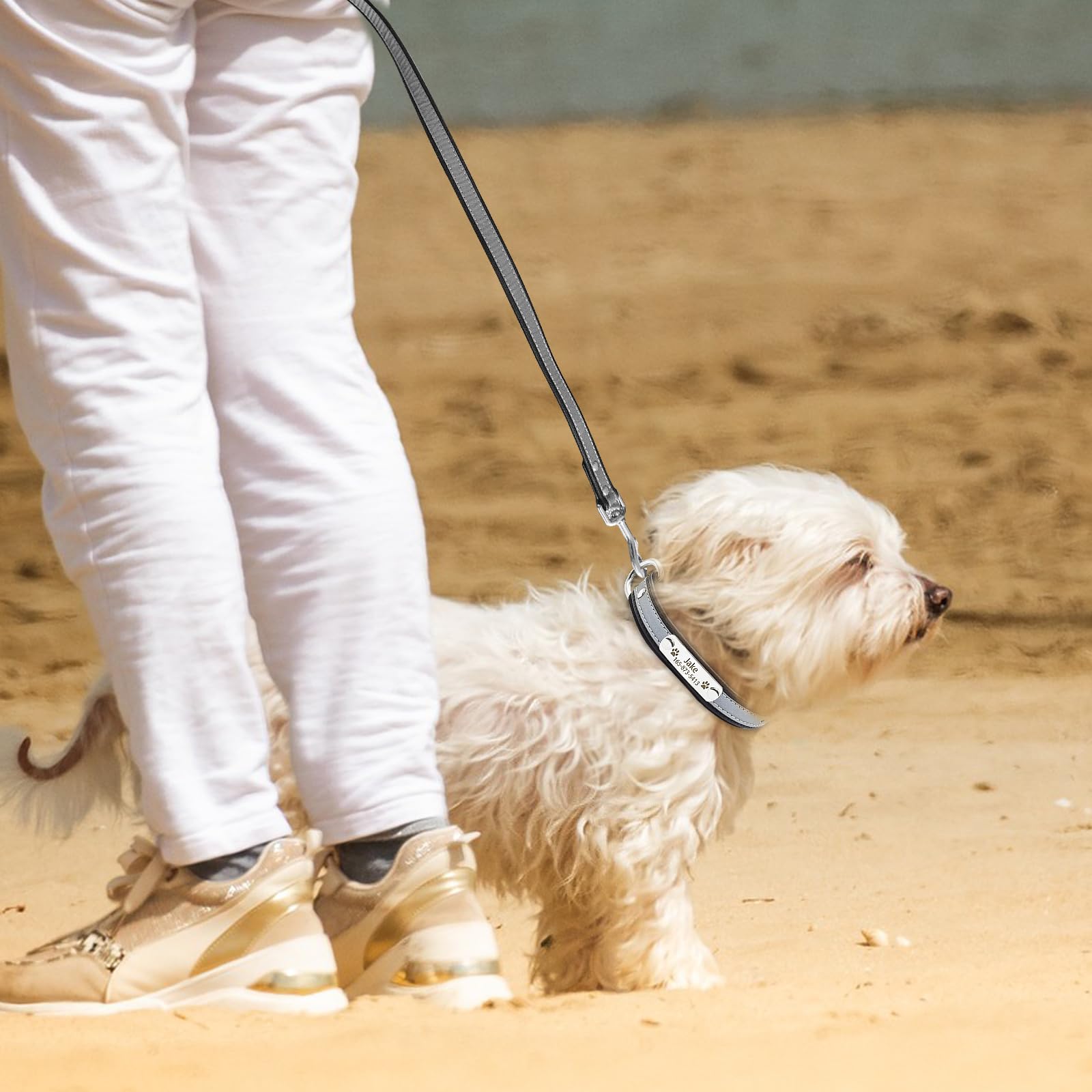 Senristar Personalized Neoprene Padded Reflective Dog Collar And Leash Set,Custom Engraved Dog Collar With Name Plate For Small Medium Large Dogs (M,Purple Set